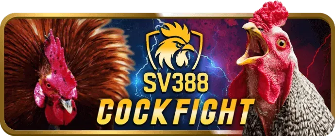 VIP Đồng VE88
